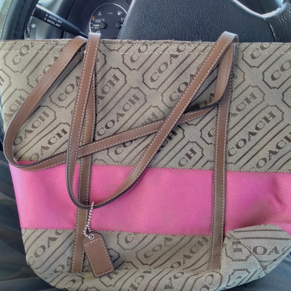 Coach Signature Stripe Purse